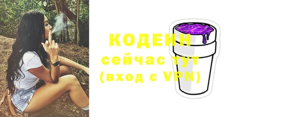 гашик Белоозёрский