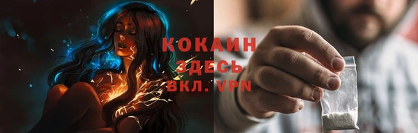 гашик Белоозёрский