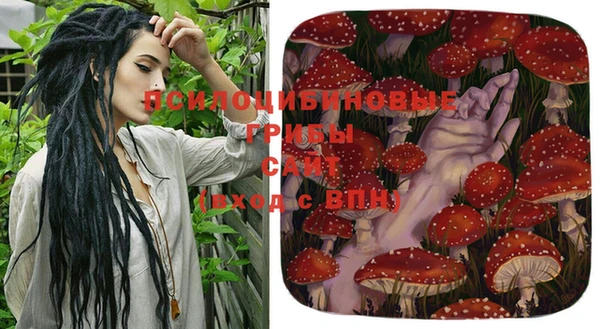 гашик Белоозёрский