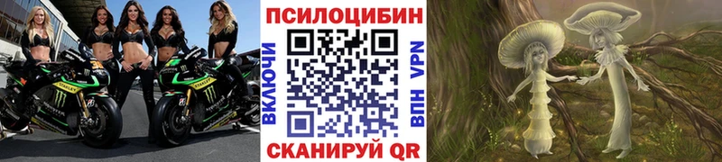 магазин продажи наркотиков  Торопец  Псилоцибиновые грибы прущие грибы 